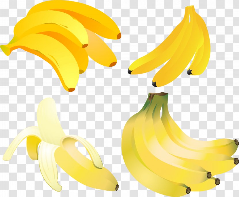 Banana Fruit - Drawing Transparent PNG