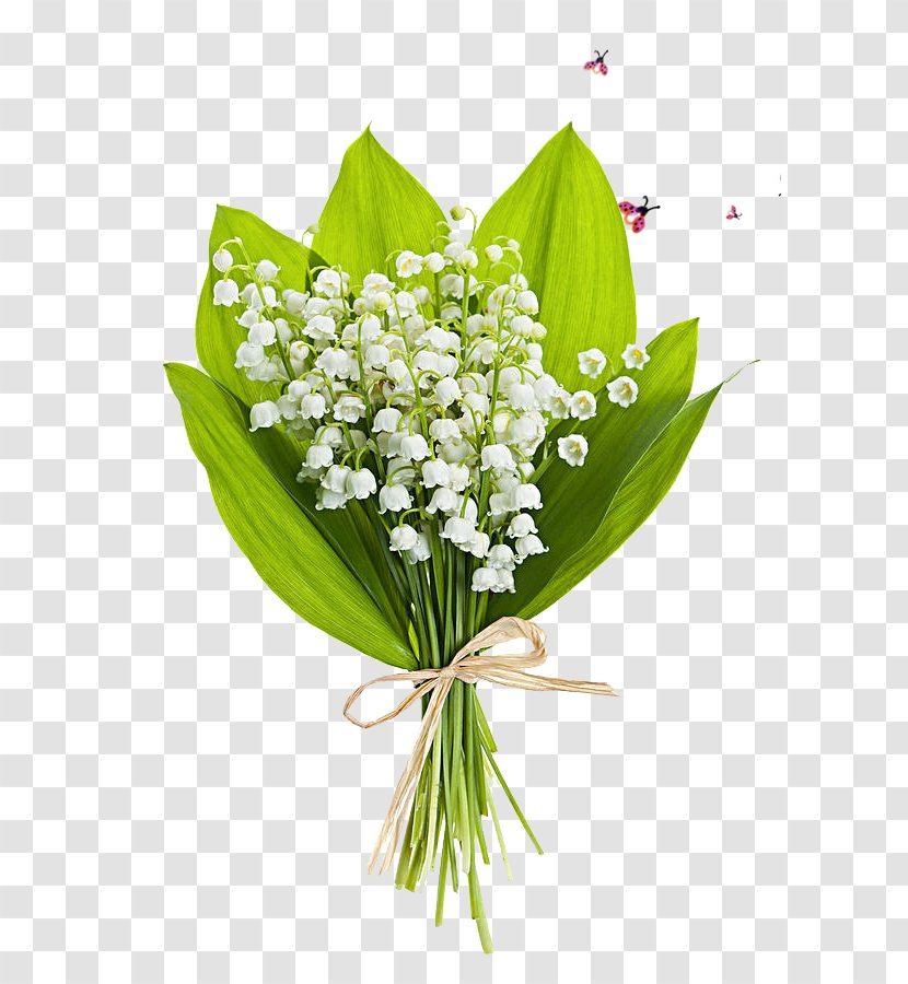 Lily Of The Valley Flower Bouquet Stock Photography Perfume - Convallaria - Pattern Transparent PNG