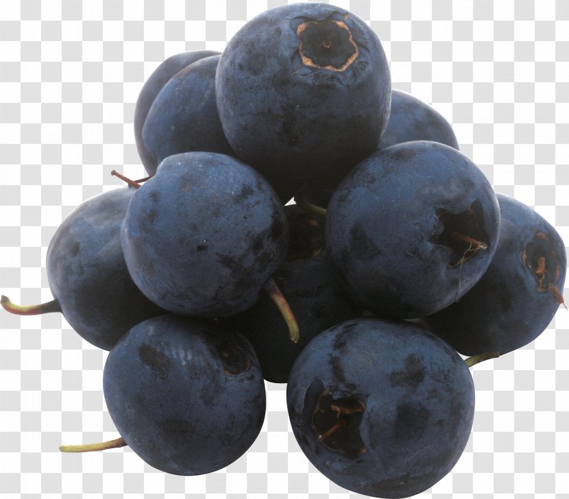 European Blueberry Fruit Frutti Di Bosco - Produce - Blueberries Transparent PNG