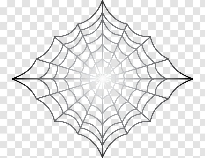 Spider Web Drawing Clip Art Transparent PNG