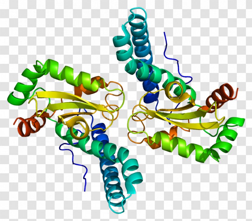 Macromolecule Polymer Repeat Unit Protein - Text - Root Transparent PNG