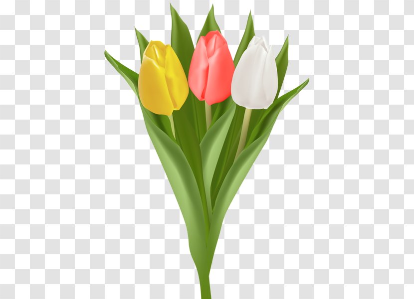 Tulip Flower Bouquet Clip Art Transparent PNG