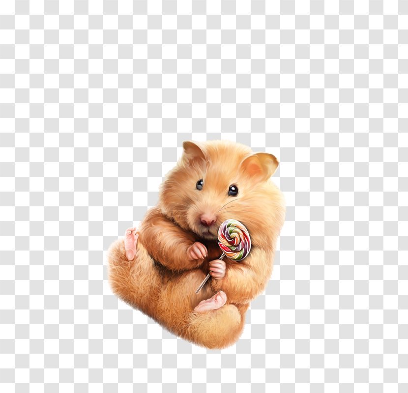 Hamster Background - Drawing - Gerbil Hand Transparent PNG