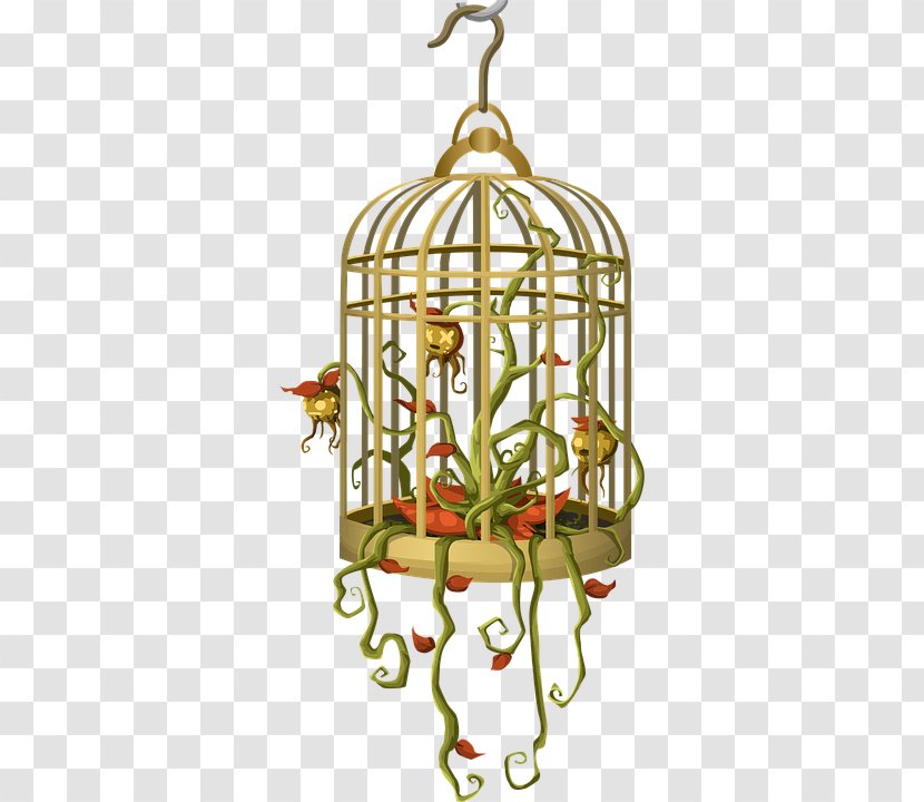 Birdcage - Bird Transparent PNG