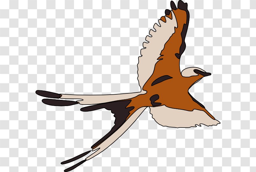 Bird Clip Art - Wing Transparent PNG