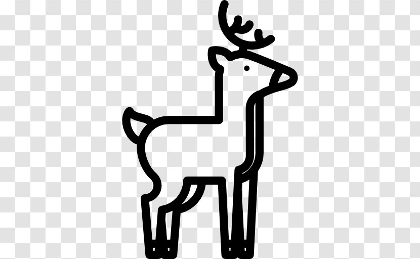 Reindeer Disney's Animal Kingdom Horse - Deer Vector Transparent PNG
