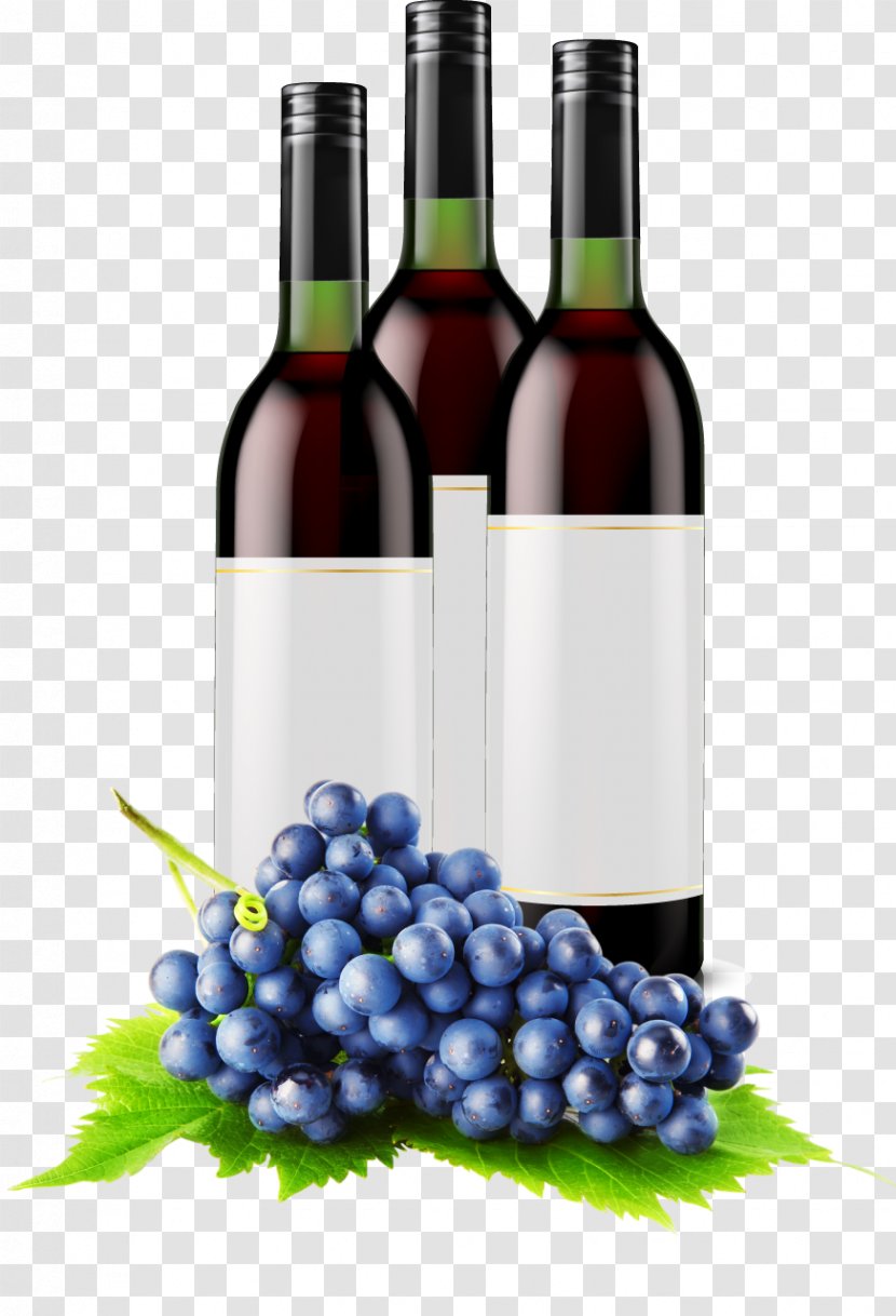 Common Grape Vine Fruit - Seed Extract Transparent PNG