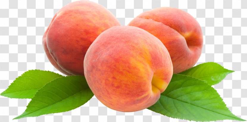 Saturn Peach Clip Art - Local Food - Apricot Transparent PNG