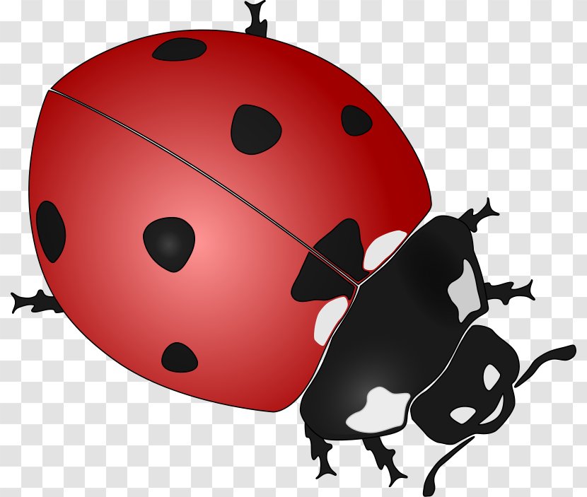 Ladybird Drawing Black And White Clip Art - Ladybug Outline Transparent PNG