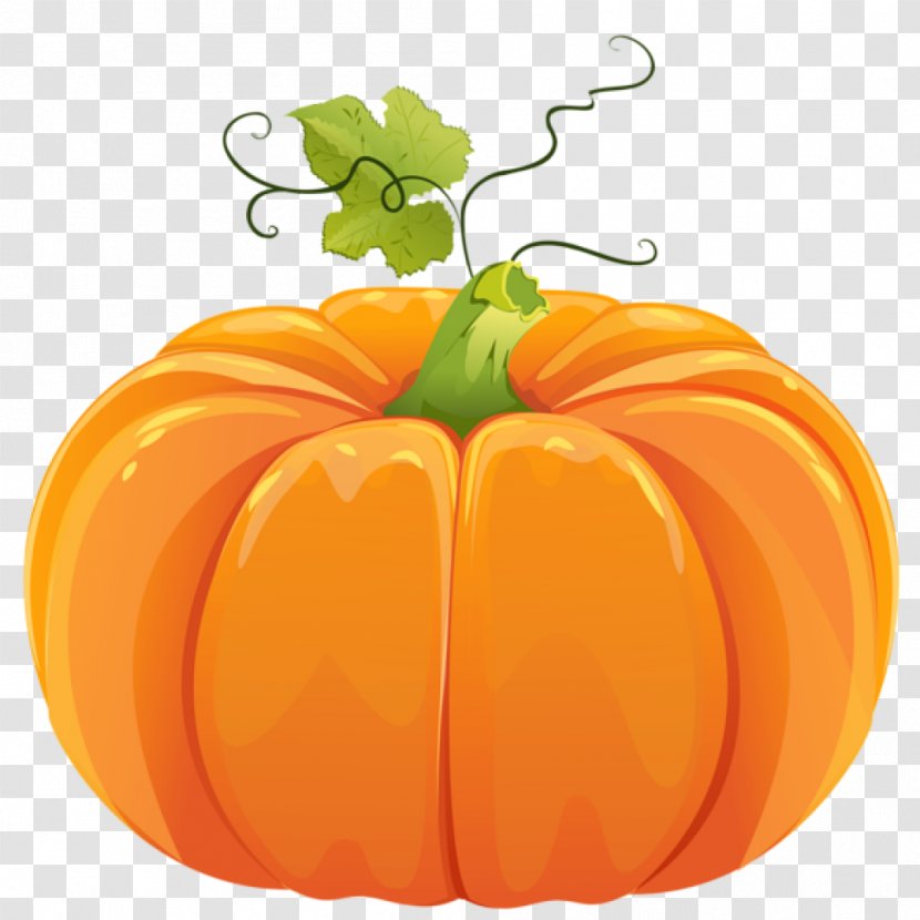 Halloween Pumpkins Field Pumpkin Bread Clip Art - Fruit Transparent PNG