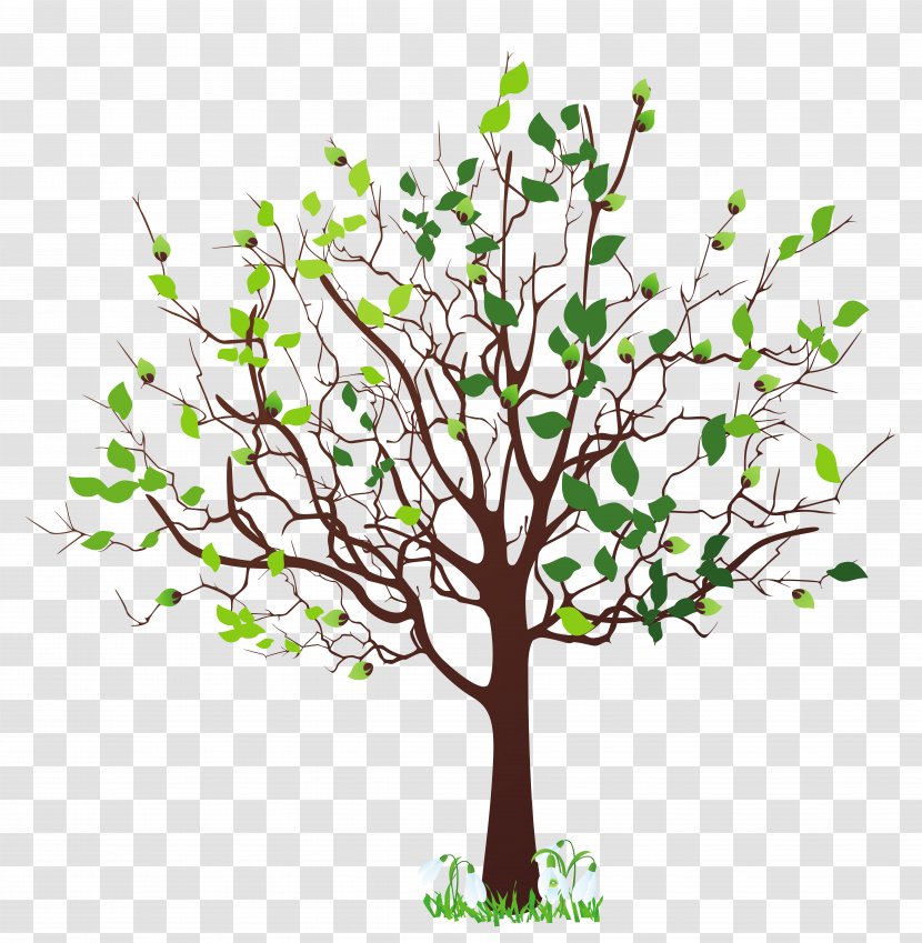 Tree Spring Clip Art - Free Content - Trees Cliparts Transparent PNG