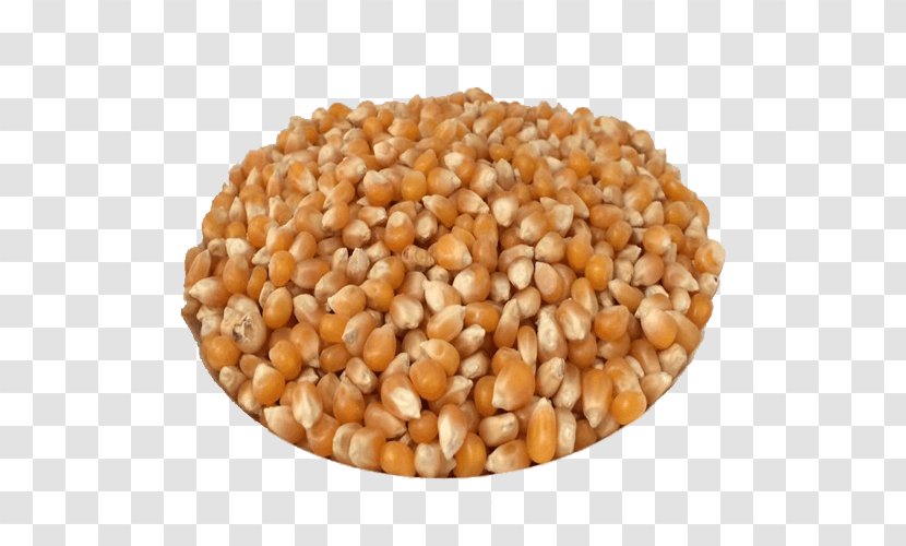 Maize Food Popcorn Vegetarian Cuisine Grain - Corn Kernels Transparent PNG