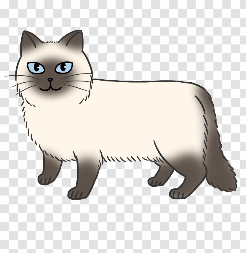 Manx Cat Whiskers Himalayan Kitten Domestic Short-haired Transparent PNG