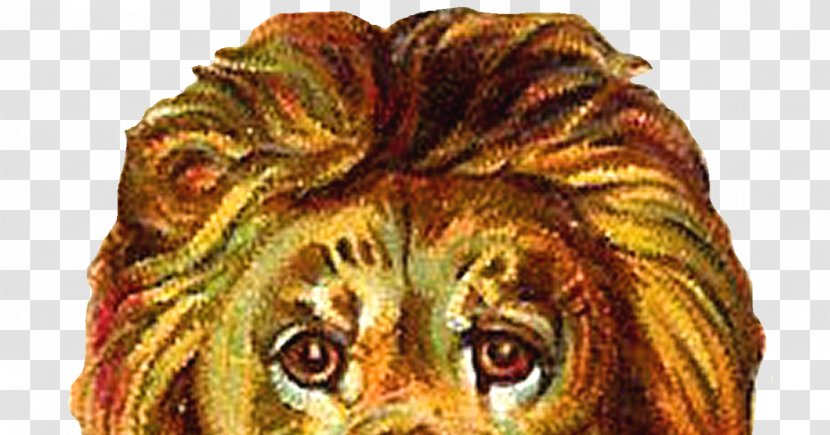 Lion Download Clip Art - Thread - Head Transparent PNG