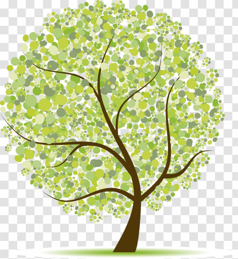 Vector Graphics Royalty-free Clip Art Stock Photography Image - Tree Collection Transparent PNG