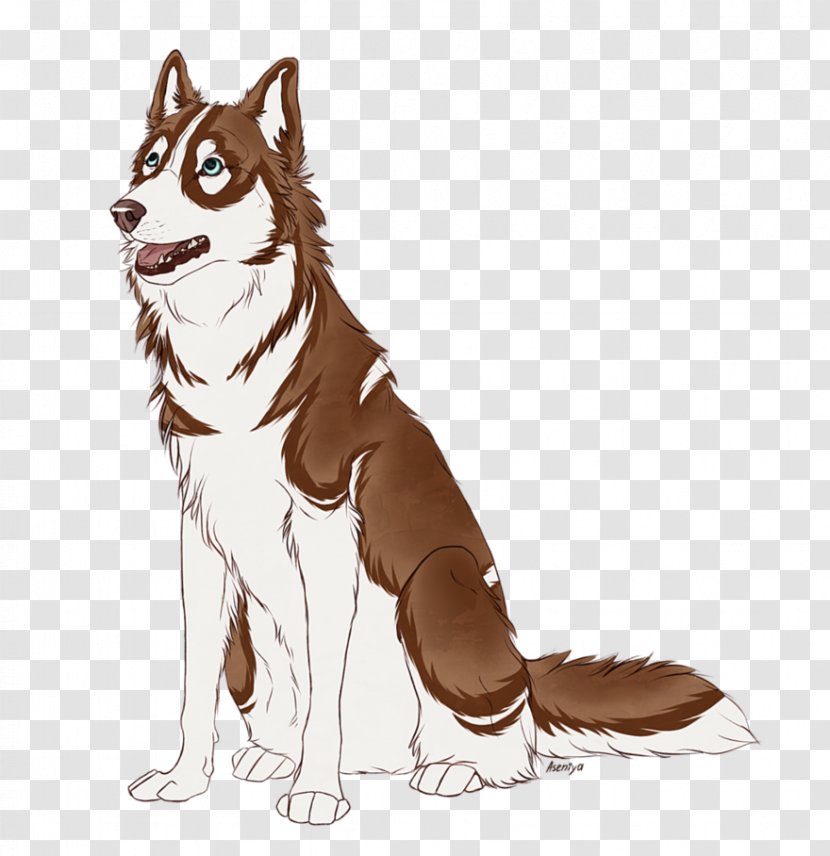 Siberian Husky Seppala Sleddog Sakhalin Saarloos Wolfdog Dog Breed - Like Mammal Transparent PNG