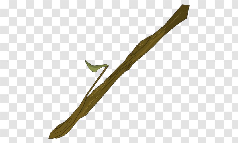 Leaf Plant Stem Twig - Branch Transparent PNG