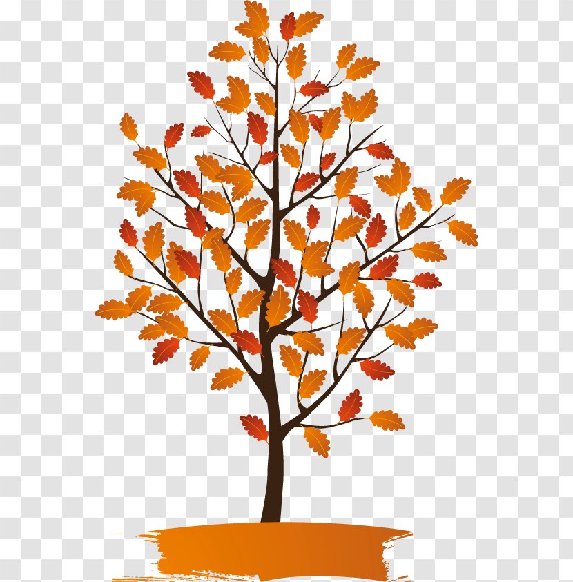 Drawing Art Clip - Beauty - Fall Season Transparent PNG