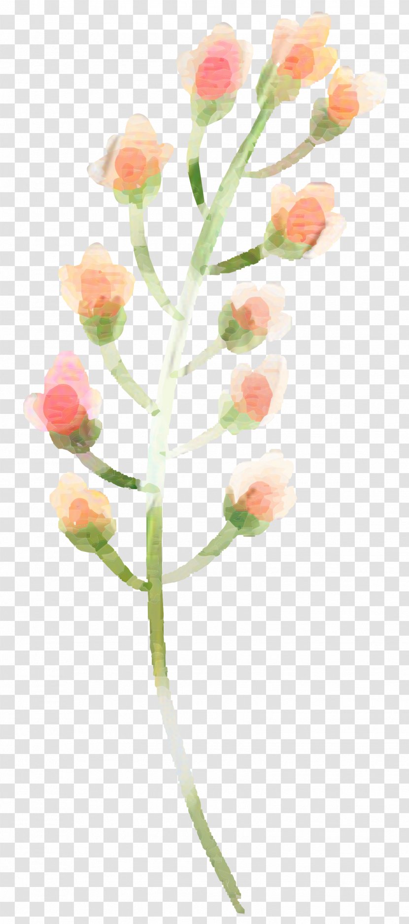 Watercolor Pink Flowers - Branch Artificial Flower Transparent PNG