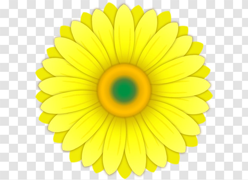 Company Serving Houma Delivery Industry Organization - Daisy Family - Gerbera Transparent PNG