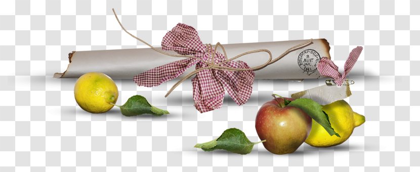 Fruit Photography Paper Painter - Pink - Dates Ribbon Centerblog Transparent PNG