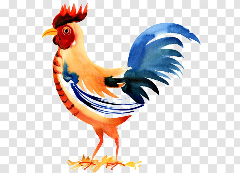 Chicken Cartoon - Bird - Art Livestock Transparent PNG