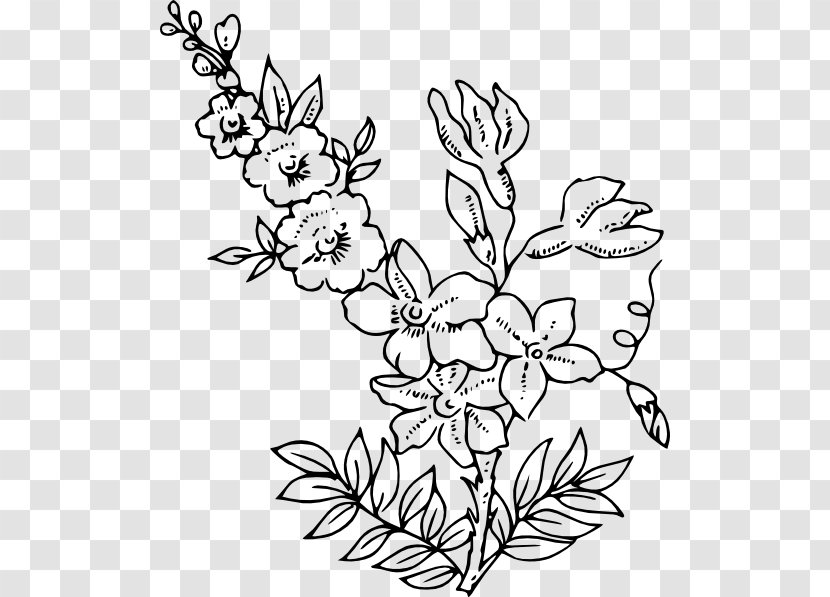 Flower Clip Art - Organism Transparent PNG