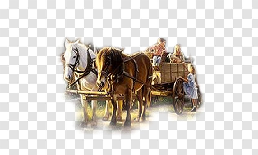 Horse And Buggy Harnesses Chariot Cart - Coachman - Carriage Transparent PNG