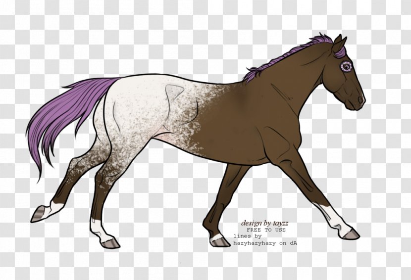 Mare Stallion Foal Colt Mane - Mustang Transparent PNG