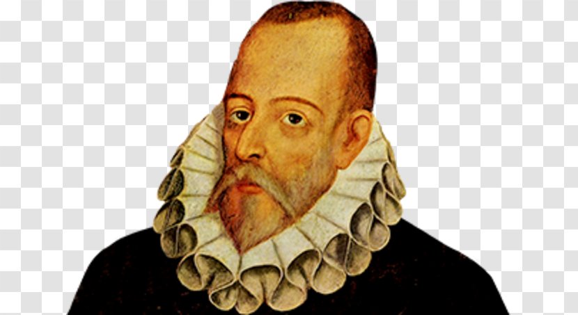 Miguel De Cervantes Don Quixote Spain Writer Pierre Menard, Author Of The - Facial Hair - Beard Transparent PNG