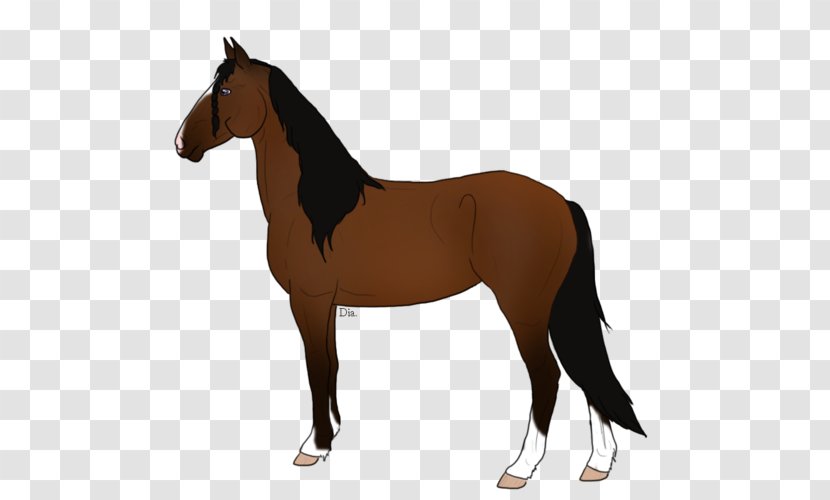 Mustang Stallion Foal Mare Colt - Pack Animal - Height Rescue Transparent PNG