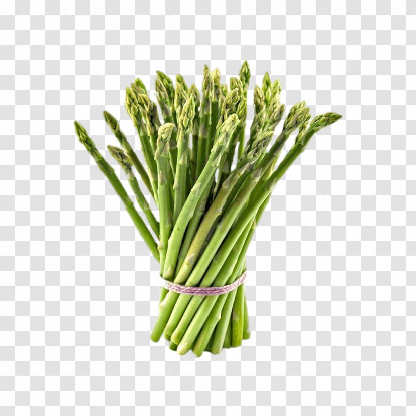 Garden Asparagus Vegetable Food Root Shatavari - Frame Transparent PNG