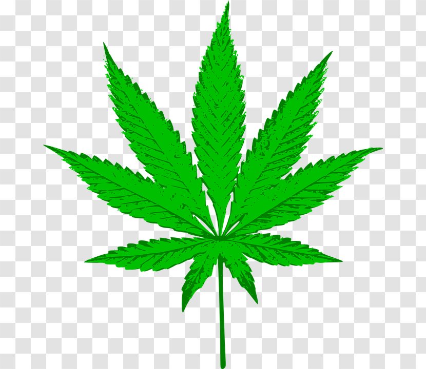 Hash, Marihuana & Hemp Museum Cannabis Leaf Clip Art - Legalization Transparent PNG