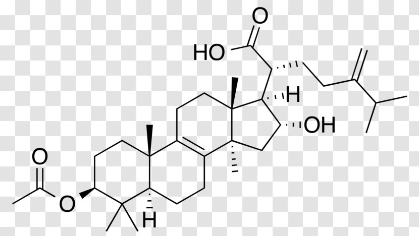 Bile Acid Phytosterol Jervine - Chemical Compound - Nucleic Transparent PNG