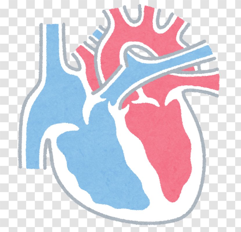 Coronary Artery Disease Heart Premature Ventricular Contraction Cardiology - Tree Transparent PNG