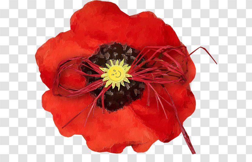 Common Poppy Flower Clip Art - Photography Transparent PNG