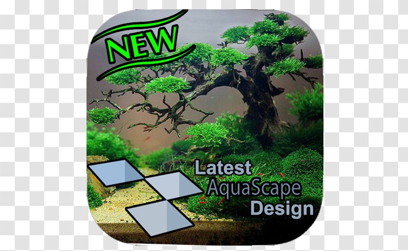 Aquascaping Reef Aquarium Nano Fish Live - Aquatic Plants Transparent PNG