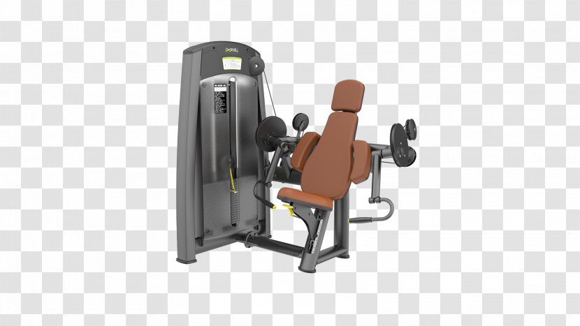 Biceps Curl Fitness Centre Bodybuilding Exercise Equipment Machine - Gym Transparent PNG