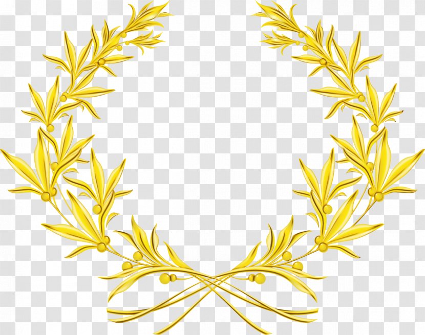 Olive Wreath Laurel Branch Drawing - Gold - Plant Leaf Transparent PNG