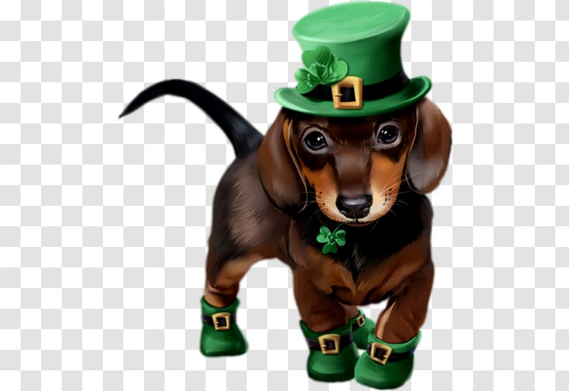 Dachshund Saint Patrick's Day Puppy Art 17 March - Patrick S Transparent PNG