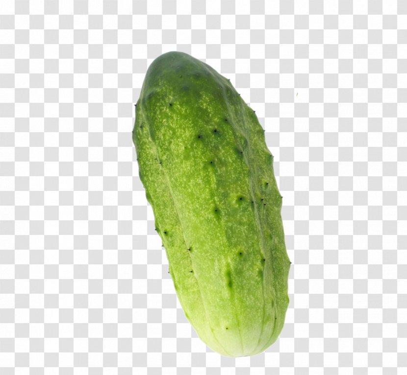Cucumber Vegetable - Gherkin Transparent PNG