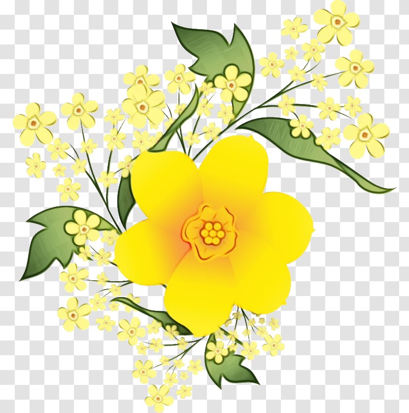 Flower Yellow Plant Petal Flowering - Paint - Branch Transparent PNG