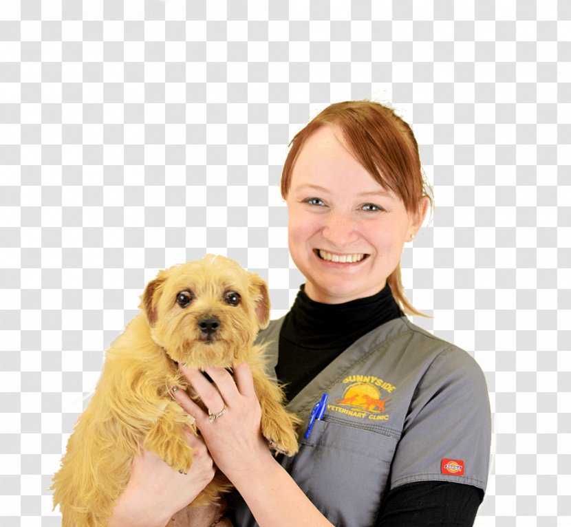 Dog Breed Norfolk Terrier Puppy Veterinarian Paraveterinary Worker Transparent PNG