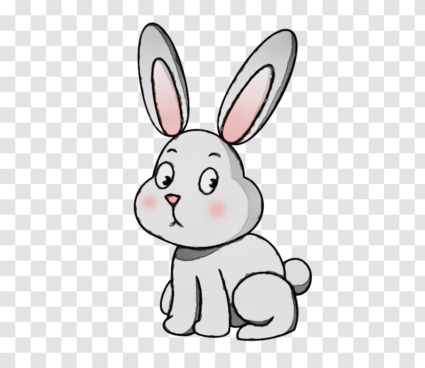 Rabbit Cartoon Rabbits And Hares White Nose Transparent PNG
