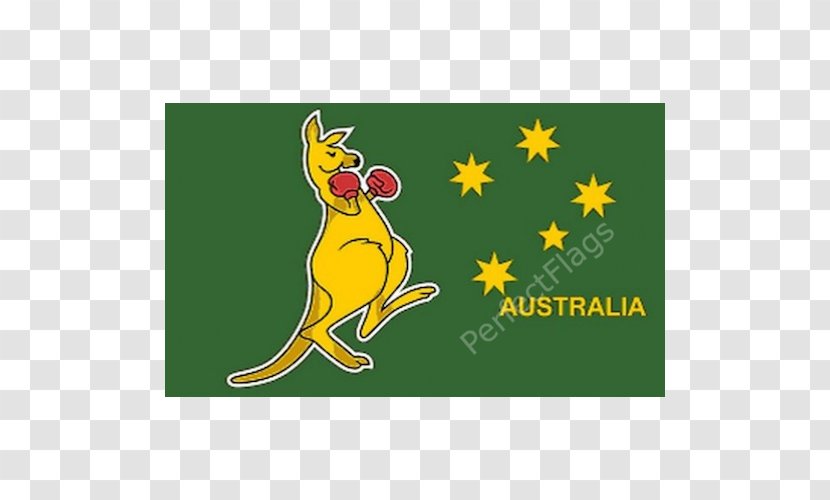 Boxing Kangaroo Flag Of Australia Transparent PNG