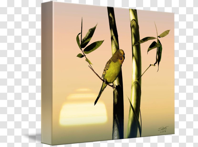 Parakeet Budgerigar Fine Art Painting - Organism - Bamboo Kind Transparent PNG