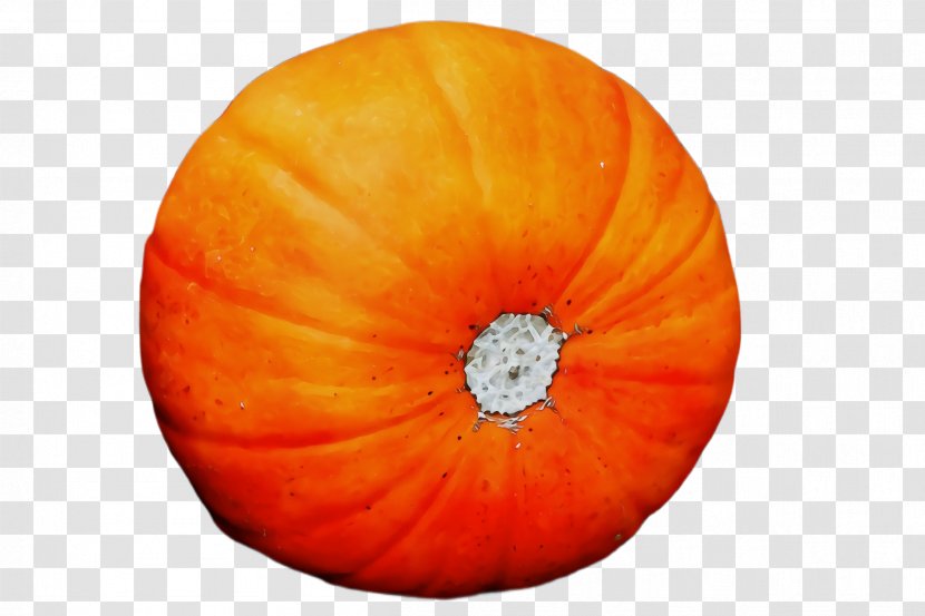 Orange - Gourd - Vegetable Transparent PNG