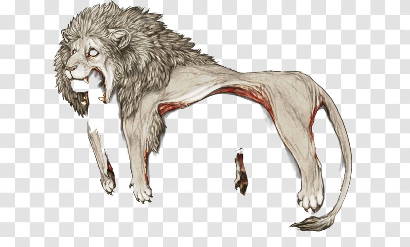 White Lion Gray Wolf Fur Jaguar - Organism Transparent PNG