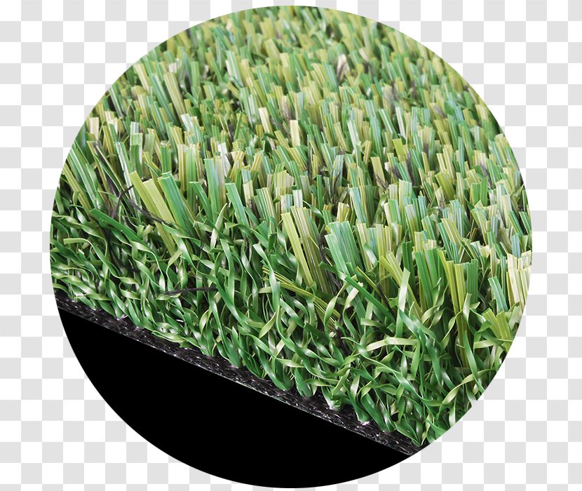 Artificial Turf Lawn Yard Carpet Synthetic Fiber - Grass Transparent PNG