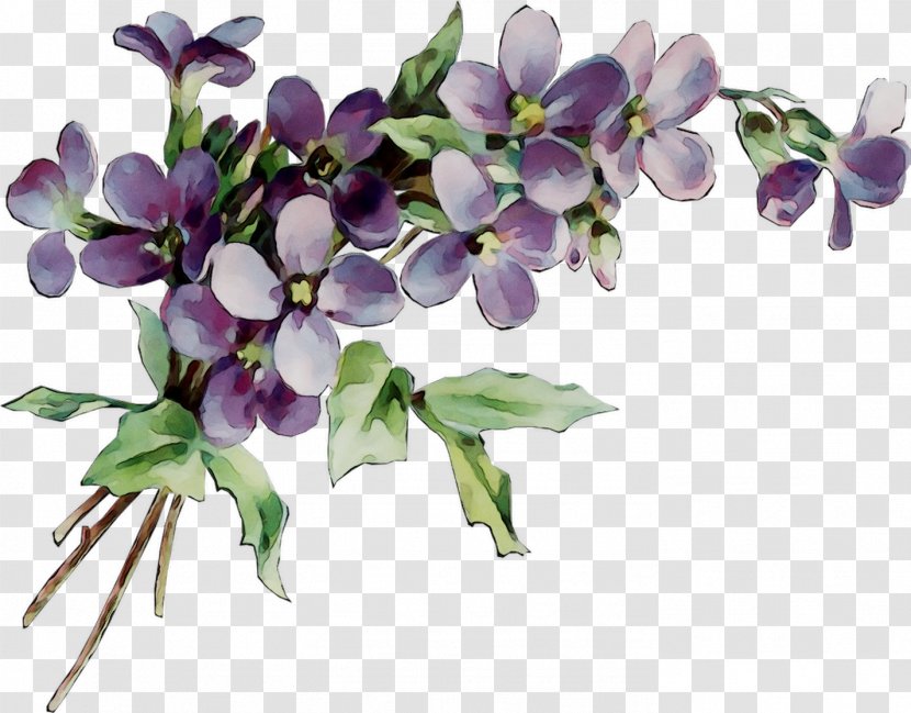 Artificial Flower Floral Design Wine Cut Flowers - Violet Family - Infant Transparent PNG
